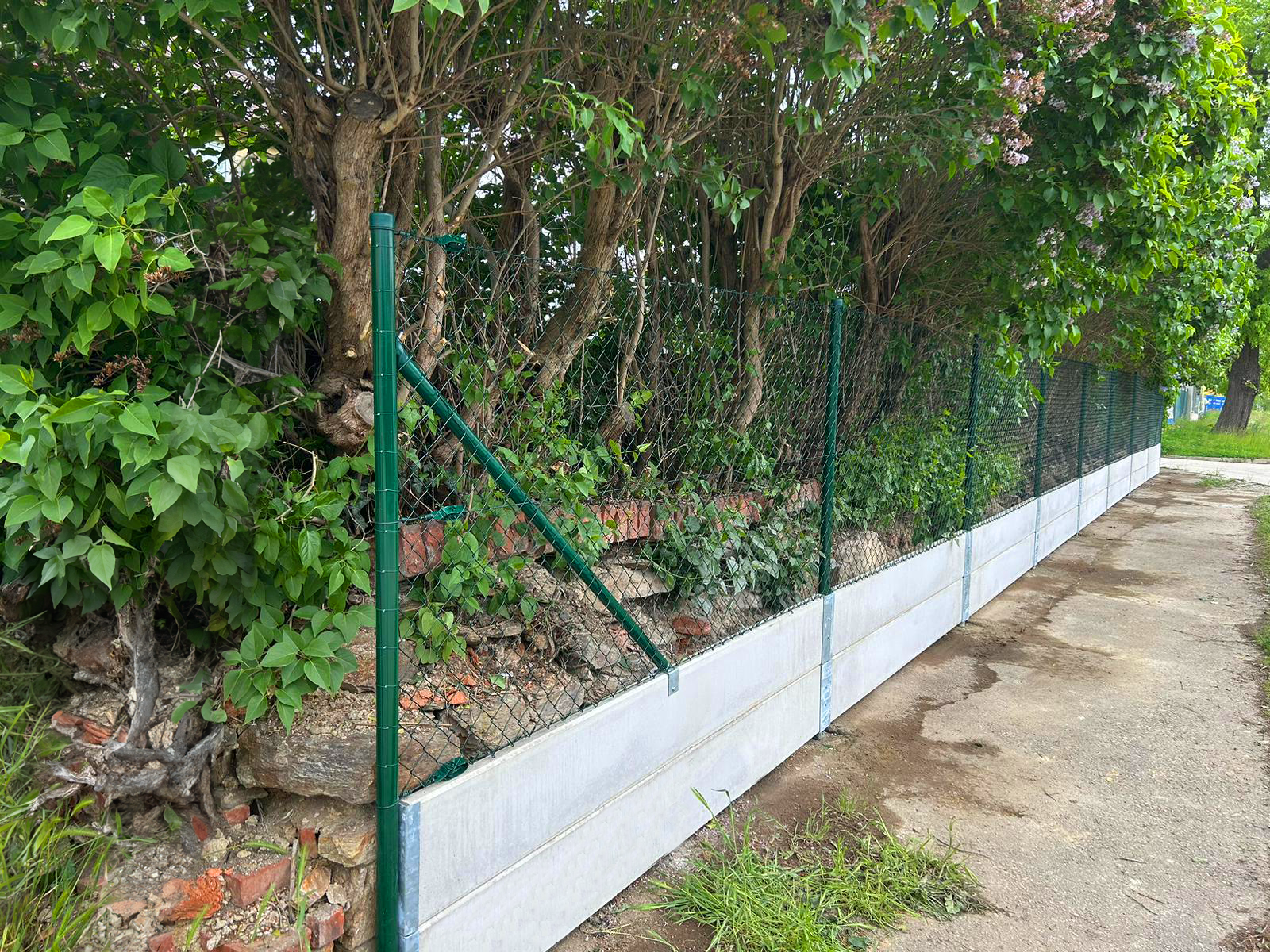 0d41765d-55ae-445d-92f4-7cb17aaa94e0