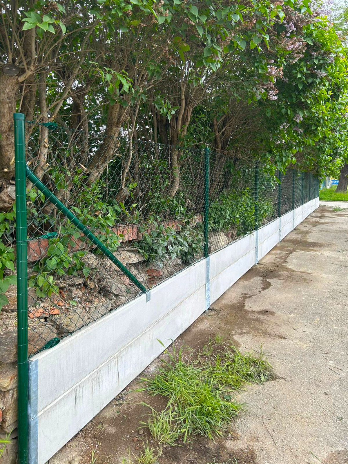 a00def8f-d80d-4d6b-8a22-560dd07e80dd