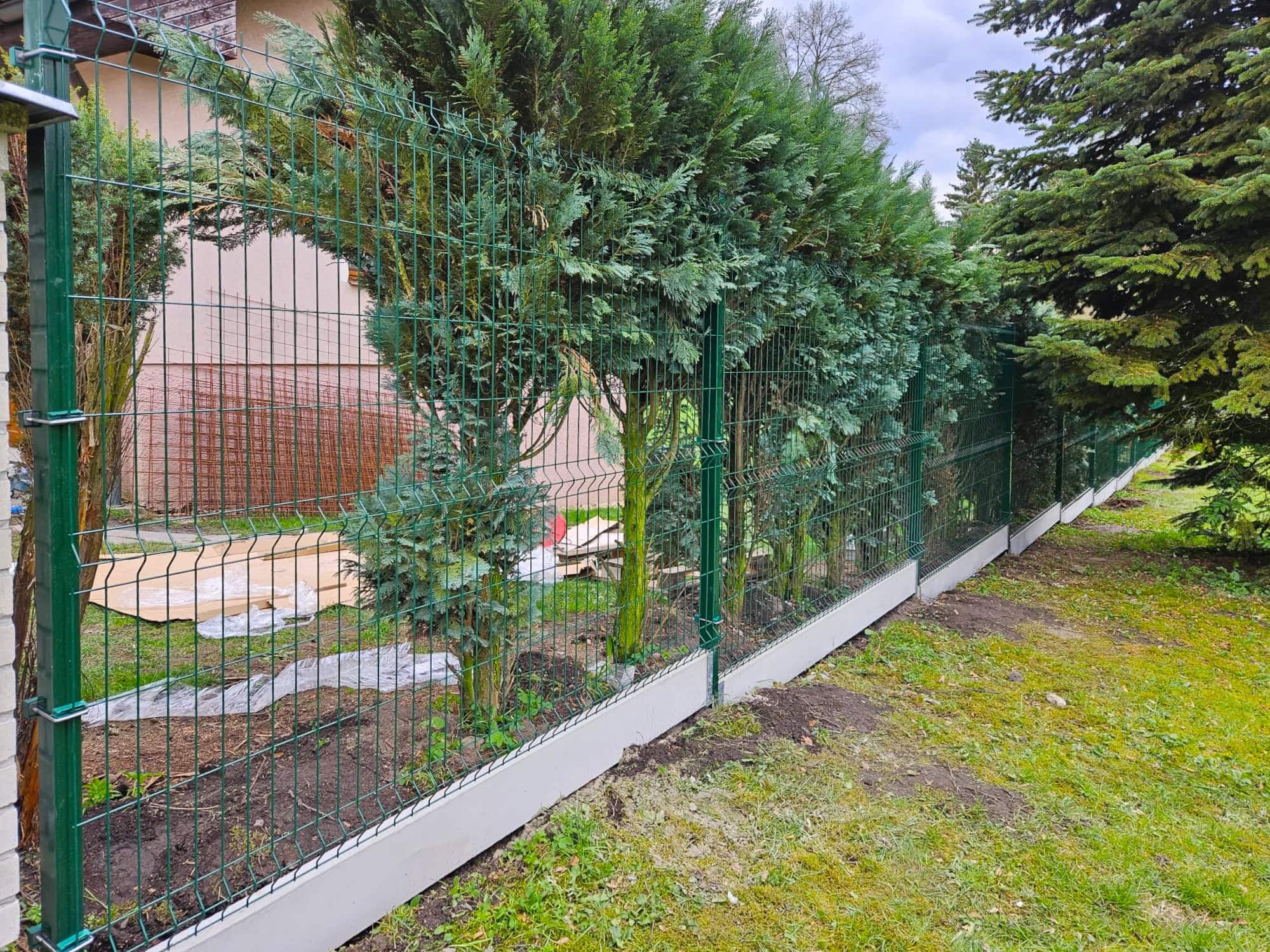 Skype_Picture_2024_08_05T11_46_52_839Z