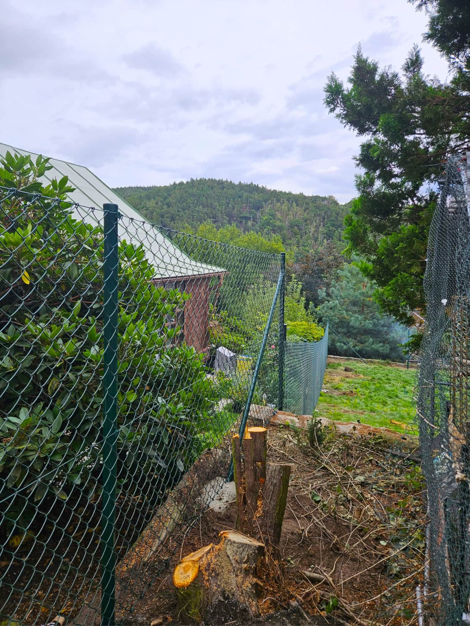 23c9e464-c41a-486f-becb-d85428dea053