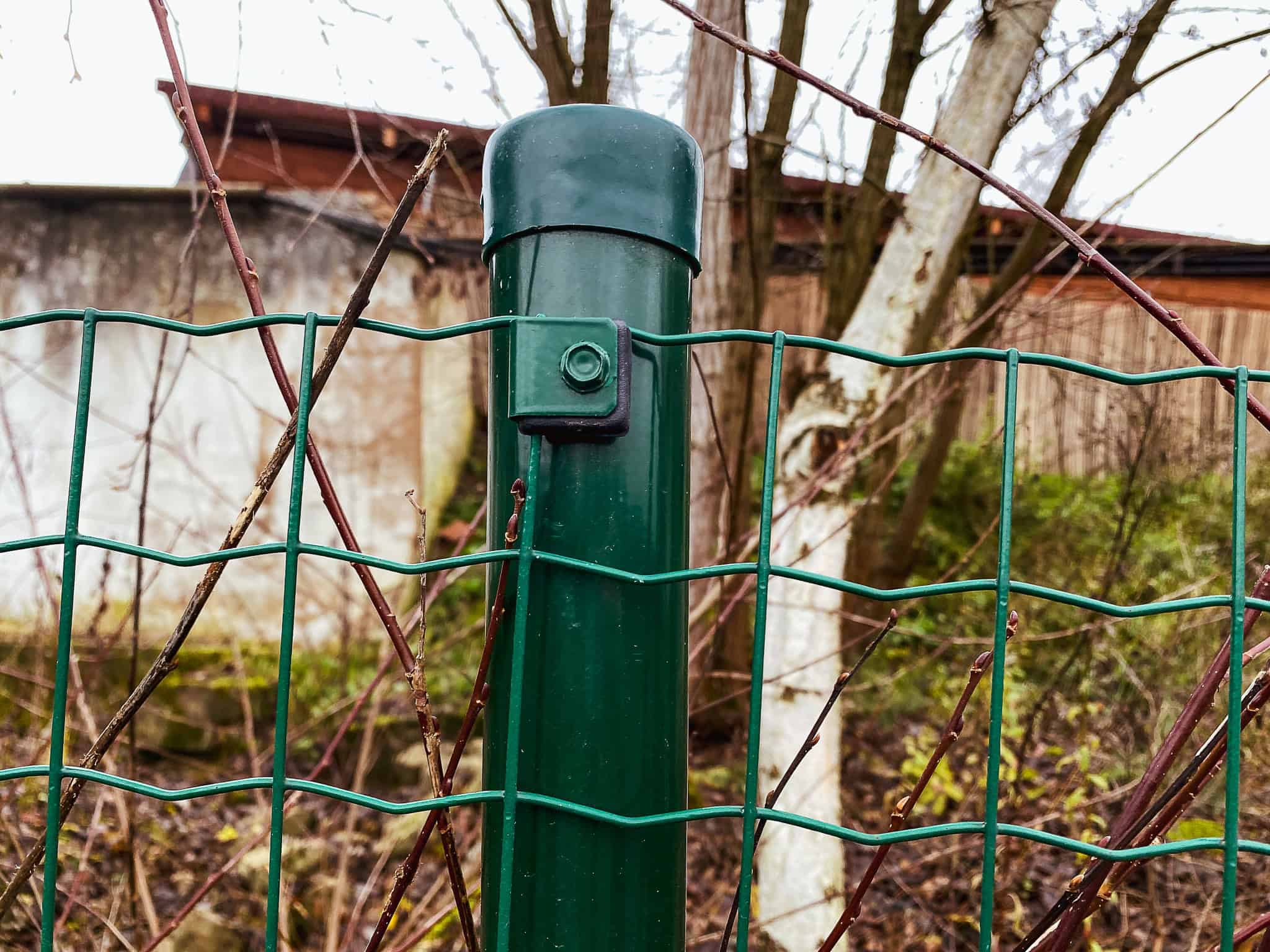 IMG_0382