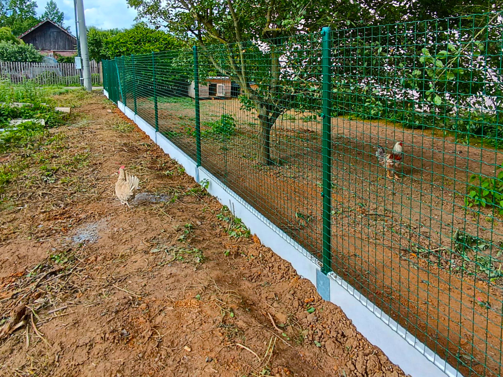 25e429ef-a4e4-4318-a2e0-33c932b3c89f