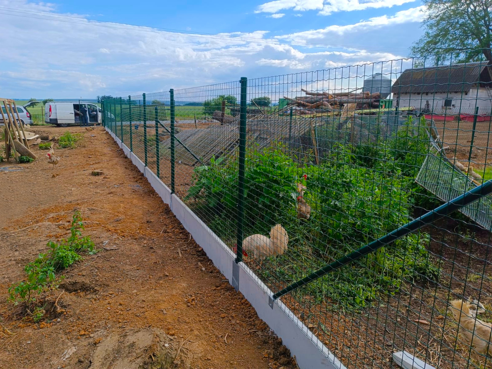 77379387-8956-42f4-959e-f4338410b7b6