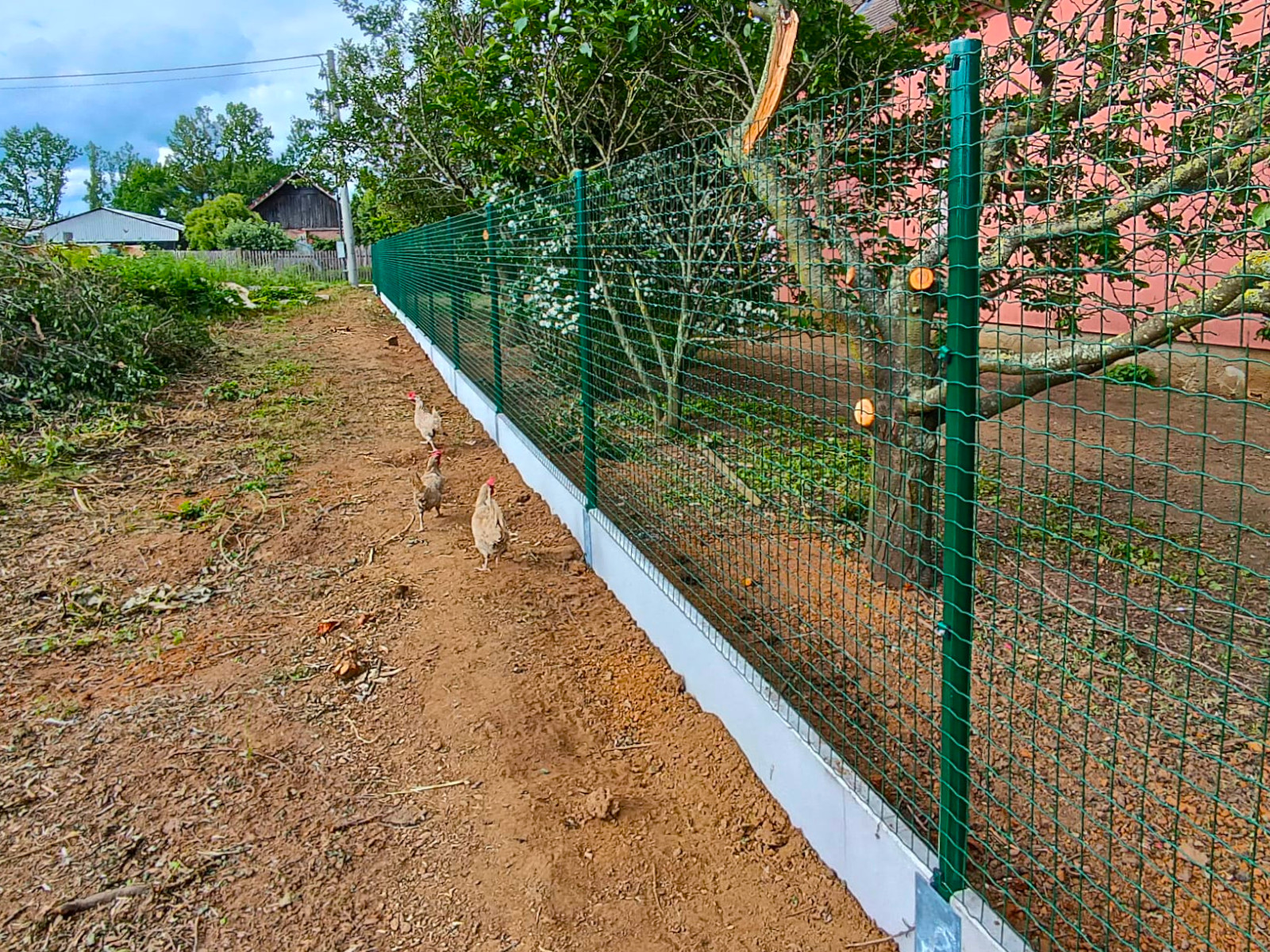 bb277550-dcec-4556-b2d8-edd9726bf1ca