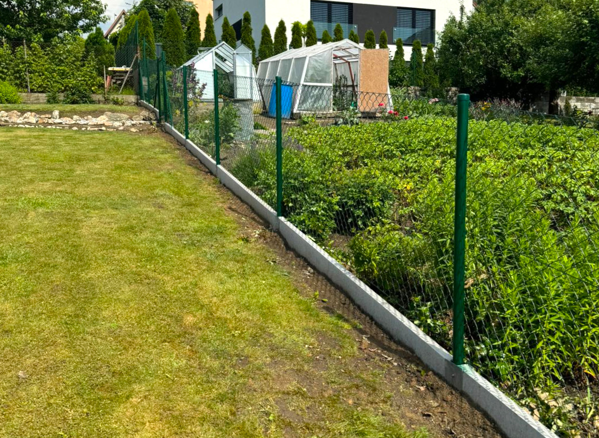 6321f846-7fcb-4368-9517-73a3fef8398e