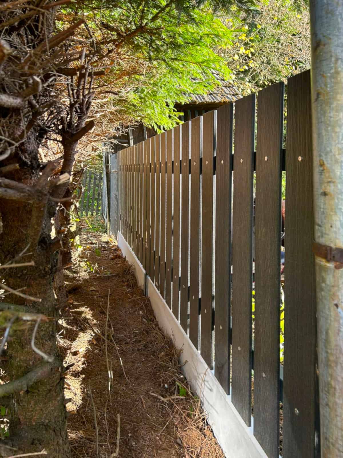 d15b561e-56ae-48c3-b091-04fe0f9ff369