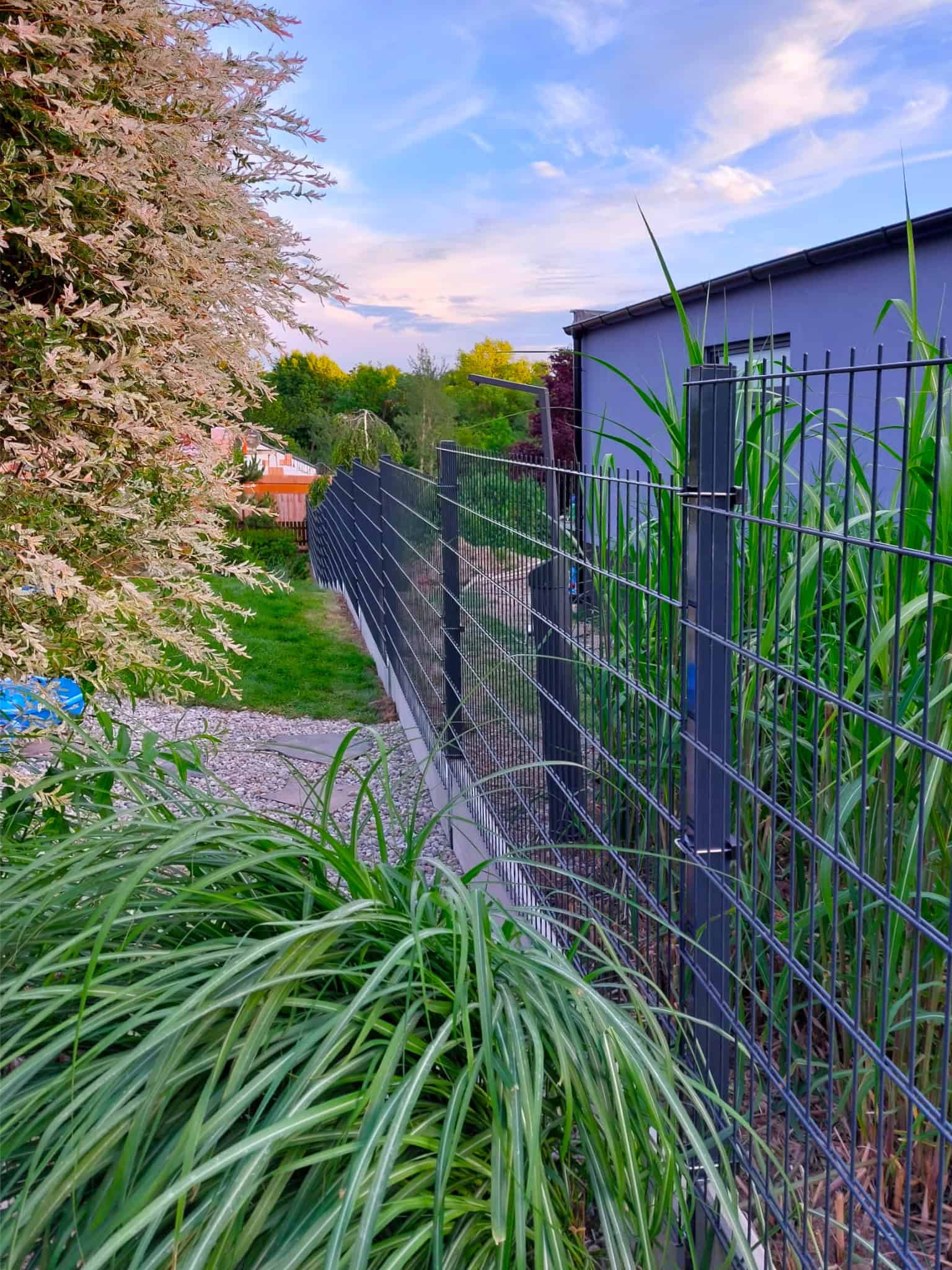 cf770121-3f12-419a-b7e0-36cbfb5759ee