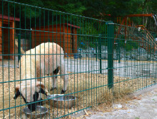 Montáž 2D poplastovaných zelených panelů – Ledce u Plzně Montáž 2D poplastovaných zelených panelů – Ledce u Plzně