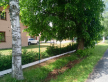 Montáž čtyřhranného pletiva a podhrabových desek – České Budějovice Montáž čtyřhranného pletiva a podhrabových desek – České Budějovice