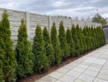 Montáž betonového plotu – Borek Montáž betonového plotu – Borek