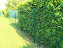 Montáž klasického plotového čtyřhranného zeleného poplastovaného pletiva bez zapleteného napínacího drátu – Plzeň