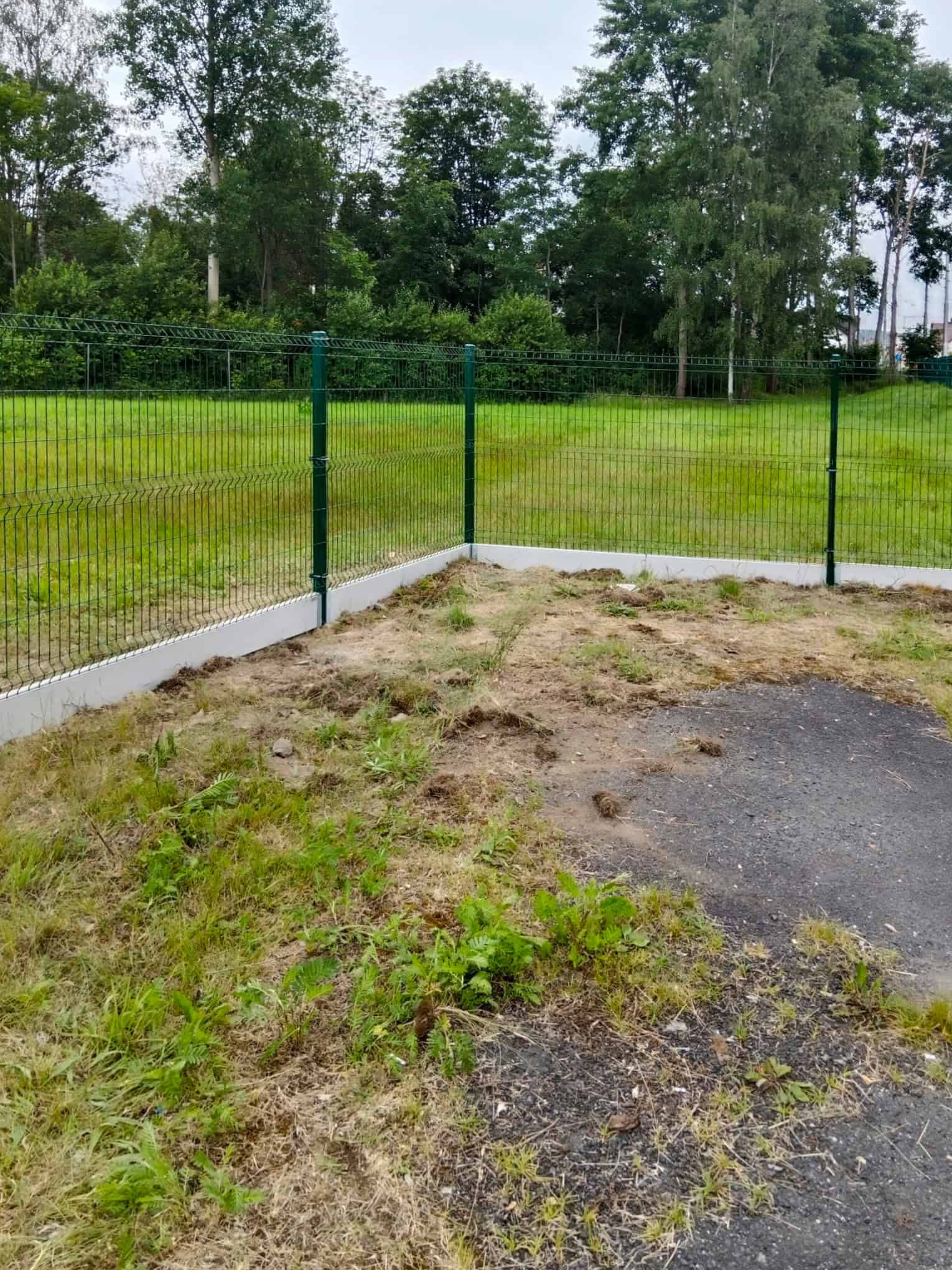 12e8d53b-9ade-49b3-9ec5-daa71e7a0b57