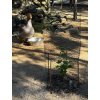 Králičí pletivo - zelené (PVC), oko 13 mm, výška 50 cm, role 10 m