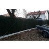 PletivaDobrý Kralovice pletivový plot W5
