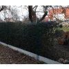 Podhrabové desky pod plot 20 cm vysoké, 3 metry dlouhé