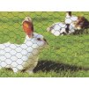 Králičí pletivo chovatelské, zelené (PVC), oko 16 mm, 100 cm výška