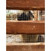 Pletivo na voliéry ZN, oko 16 x 16 mm, drát 1,2 mm, výška 100 cm, role 25 m