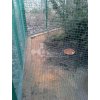 Pletivo na voliéry Zn+PVC zelené, oko 13 x 13 mm, drát 1,2 mm, výška 100 cm, role 25 m
