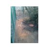 Pletivo na voliéry Zn+PVC zelené, oko 25 x 25 mm, drát 2,0 mm, výška 100 cm, role 25 m