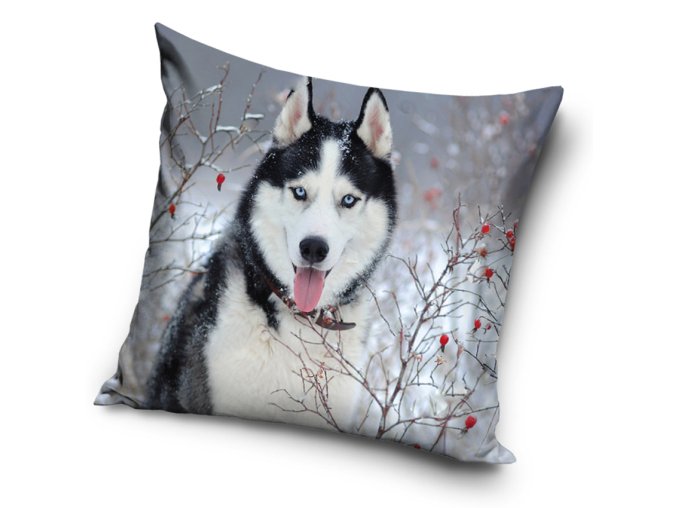 Dekoracni polstarek Sibirsky Husky Za Sipkovym kerem