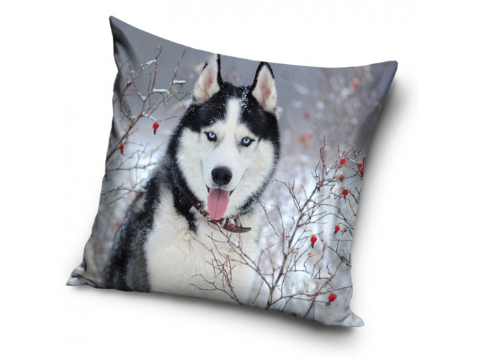 Dekoracni polstarek Sibirsky Husky Za Sipkovym kerem