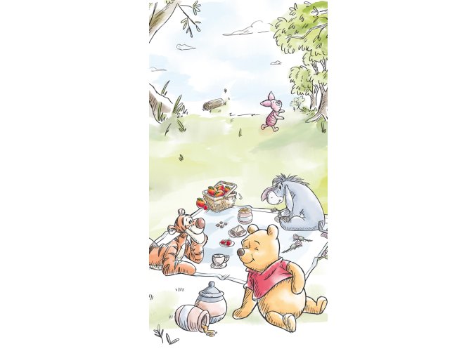 Detska osuska Medvidek Pu na pikniku