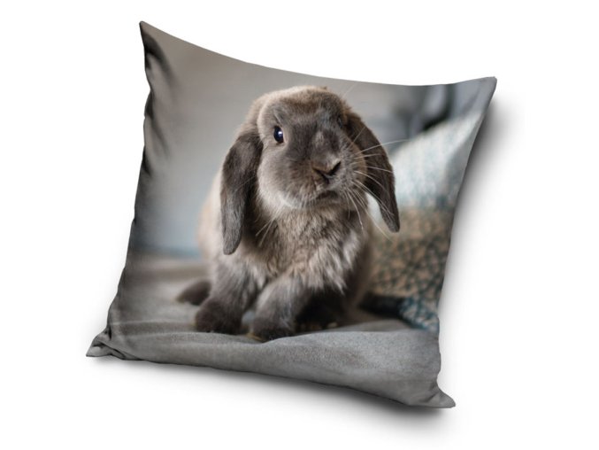 Dekoracni povlak na polstarek Zakrsly Kralicek