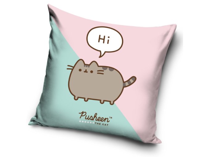 Detsky polstarek Kocicka Pusheen Ja Kosista