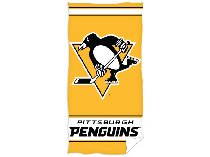 Plazova osuska Pittsburgh Penguins 161003