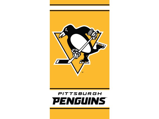 Osuska NHL Pittsburgh Penguins 161003
