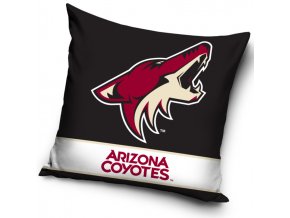 Polstarek NHL Arizona Coyotes