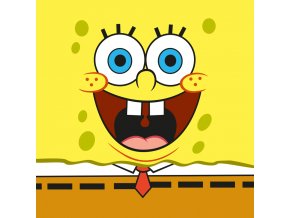 Magicky rucnicek Sponge Bob Face 30x30