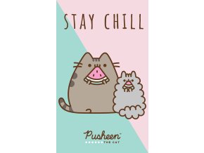 Detsky rucnik Kocicka Pusheen Stay Chill 30x50