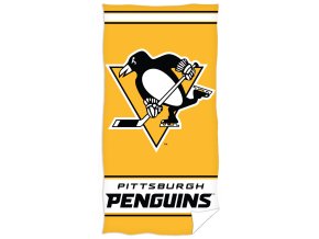 Plazova osuska Pittsburgh Penguins 161003