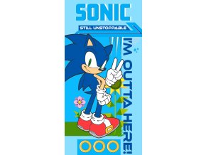 Detska osuska Nezastavitelny Jezek Sonic