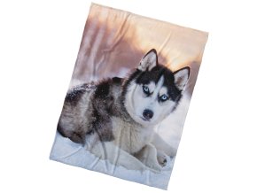 Mikroplysova deka Sibirsky Husky 150x200