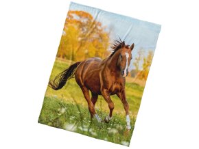 Mikroplysova deka Kun Ryzak na Louce 150x200