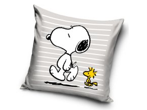 Detsky polstarek Snoopy a Woodstock 40x40 SNO224029