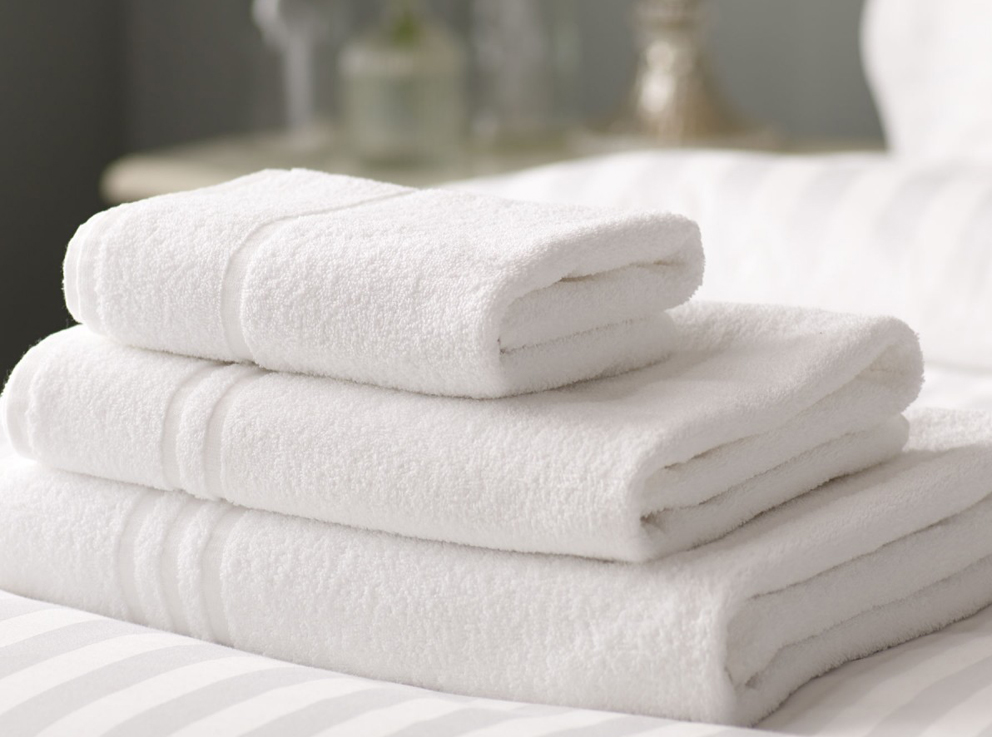 Froté ručníky a osušky HOTEL BASIC Stripes Rozměr: 50x100 cm