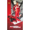 Osuška Ferrari Alonso Race Car