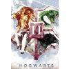 Detske povleceni Harry Potter Hogwarts Erb detail