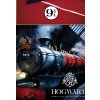 Detske povleceni Harry Potter Expres do Bradavic detail