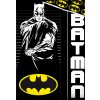 Detske povleceni Batman Strazce Noci detail