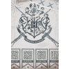 Detske povleceni Harry Potter Famfrpal detail