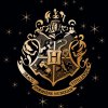 Detska deka Harry Potter Erb Bradavic Gold 150x200 detail