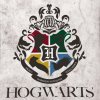 Detska deka Harry Potter Famfrpal 110x140 detail