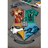 Detske povleceni Harry Potter Erb Lycea Hogwarts detail