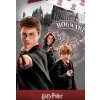 Detske povleceni Harry Potter Kouzelnicka skola detail