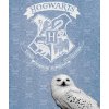 Detska deka Harry Potter Sova Hedvika 130x170