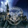 Detska deka Harry Potter Bradavicka Skola 150x200 detail